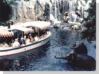 Jungle River Adventure