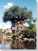 Tree of Life